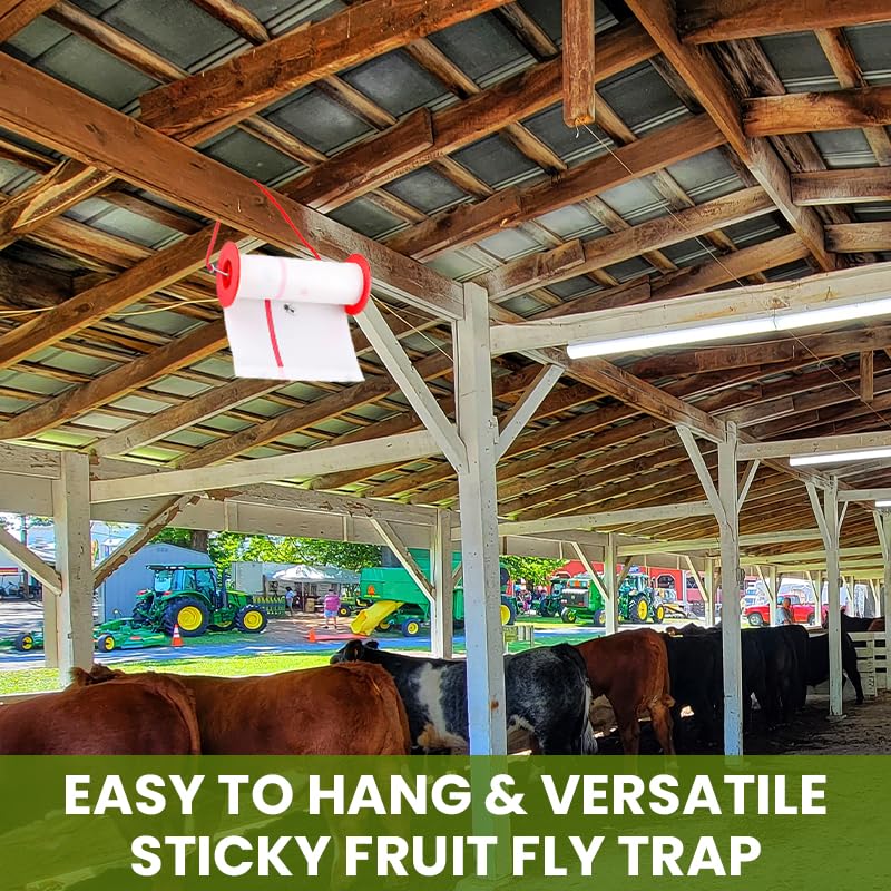 A Flying Insect Glue Sticker Hnaged in a Animal  Breeding Center.