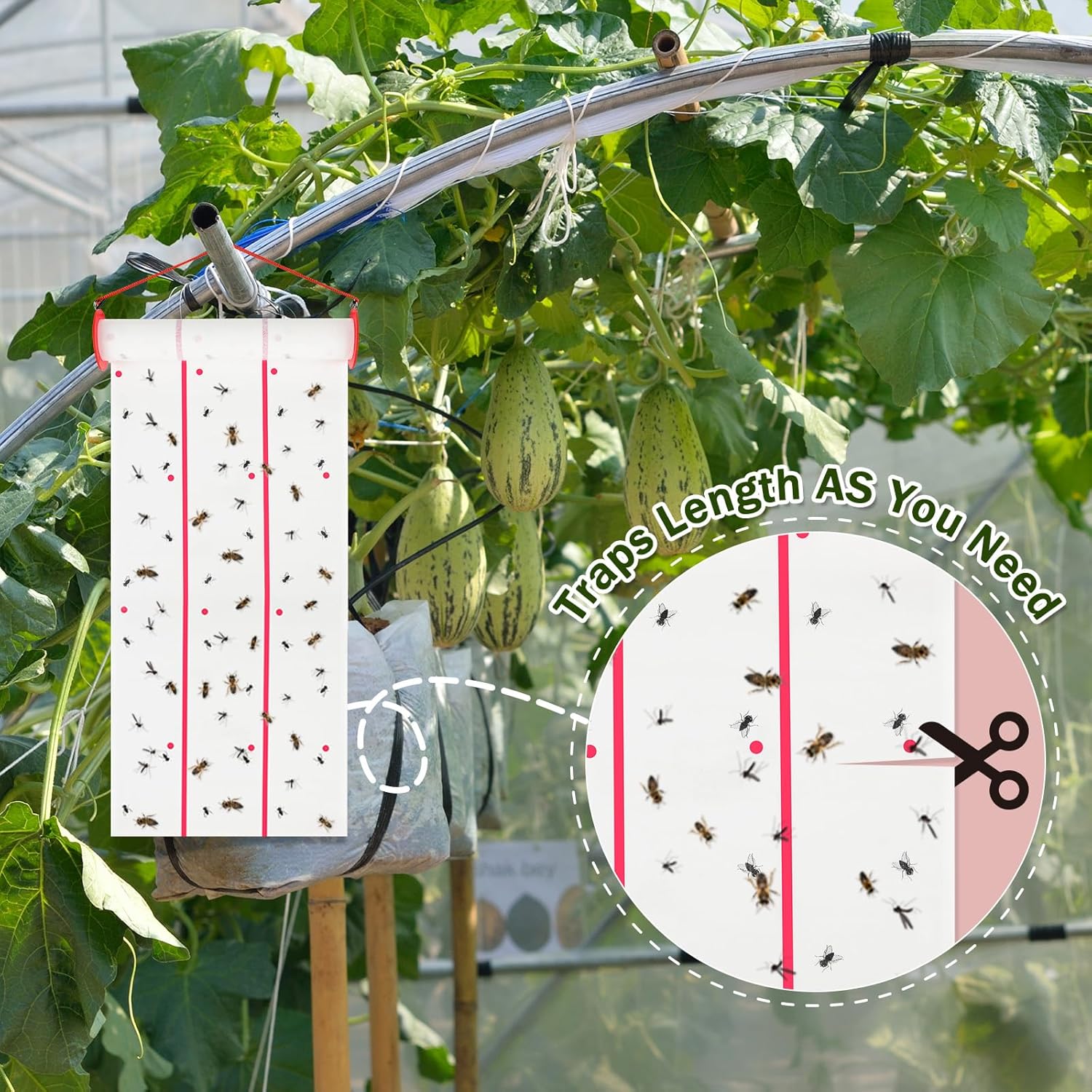 A Flying Insect Glue Sticker is Hanged ina Vegetable Garden and Insects are Sticked On it.