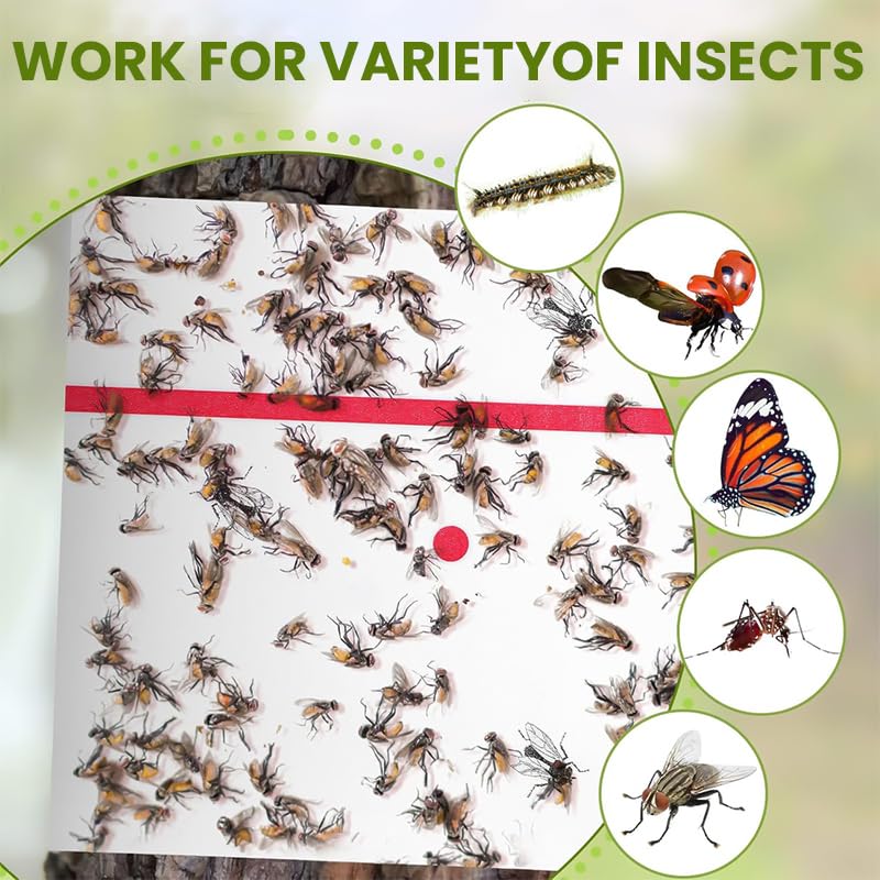 Insects are Trapped on a Flying Insect Glue Sticker.