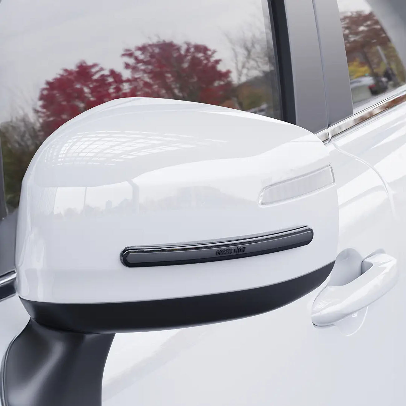 Green Lion Car Door Guard is Installed on a Car Mirror.