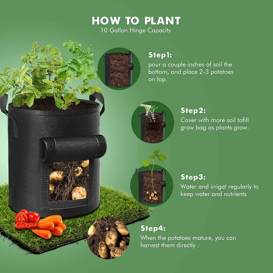 Virtual instructions on how to plant 10 Gallon Potato Grow Bags 