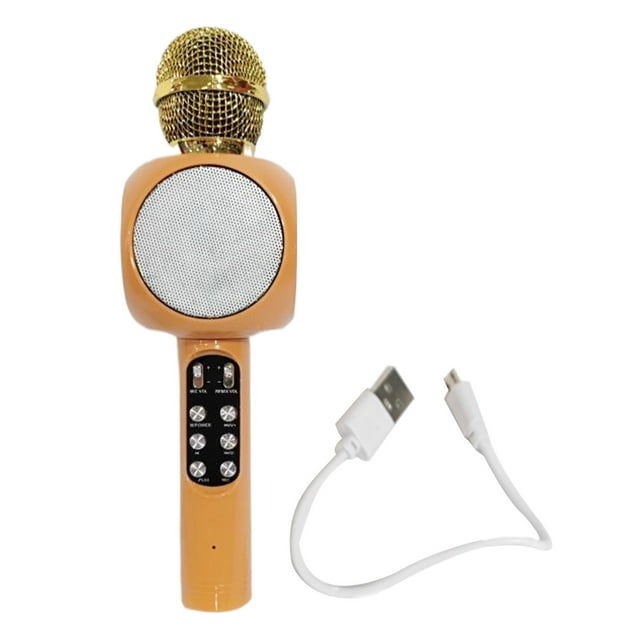 Handheld Wireless Microphone and its Cable.
