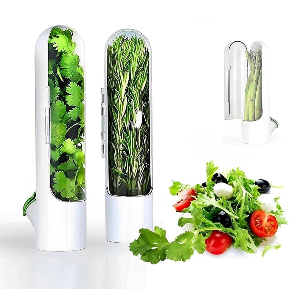 Herb Saving Pod For Refrigerator Having Herbs in it.