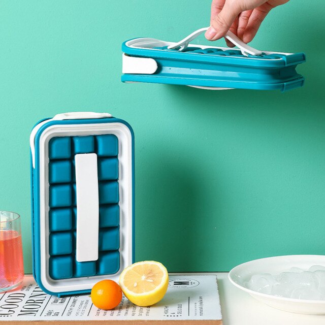 A Person is Holding Ice Cube Tray.