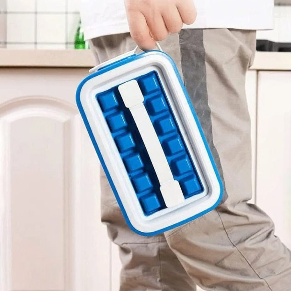 A Person is Holding Ice Cube Tray.