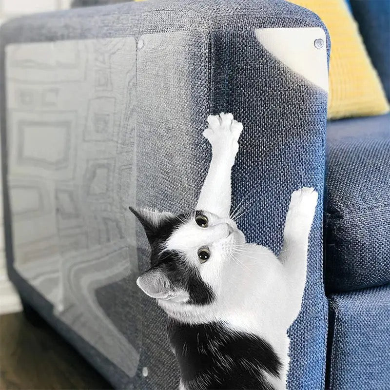 A Cat is Touching Sofa Which is Protected With Pet Scratch Guard Furniture Protector Sticker.