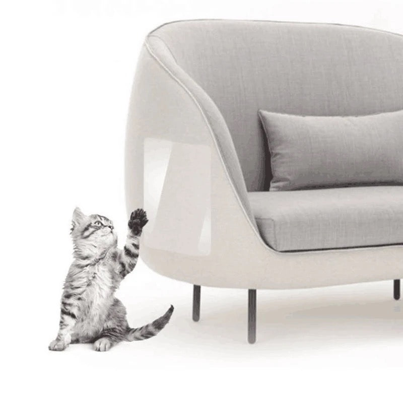 A Cat is Trying to Scratch a Sofa Set Which is Protected With Pet Scratch Guard Furniture Protector Sticker.