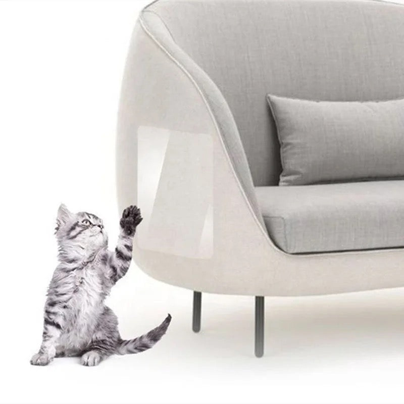 A Cat is Trying to Scratch a Sofa Set Which is Protected With Pet Scratch Guard Furniture Protector Sticker.