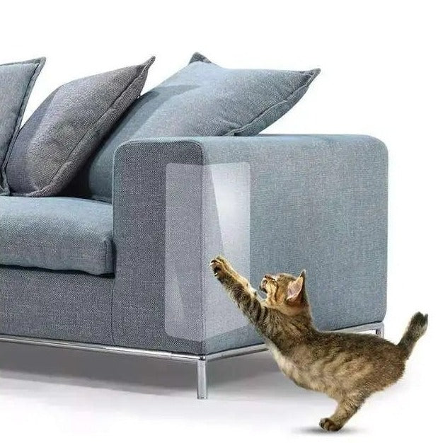 A Cat is Trying to Scratch  a Sofa Set Which is Protected With Pet Scratch Guard Furniture Protector Sticker.
