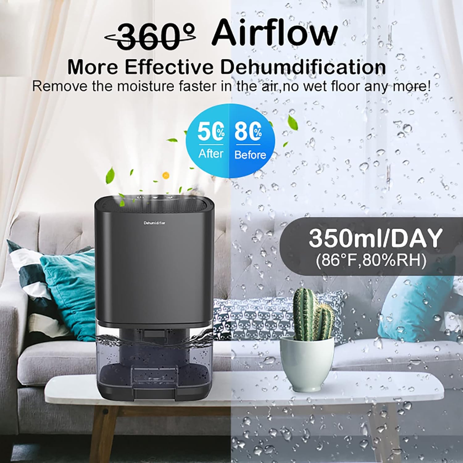 A  Portable Air Dehumidifier is Placed at Living Area.