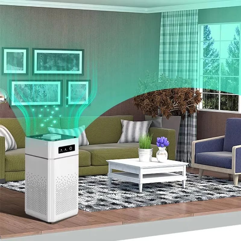 Portable Air Purifier is Placed in a Living Room.