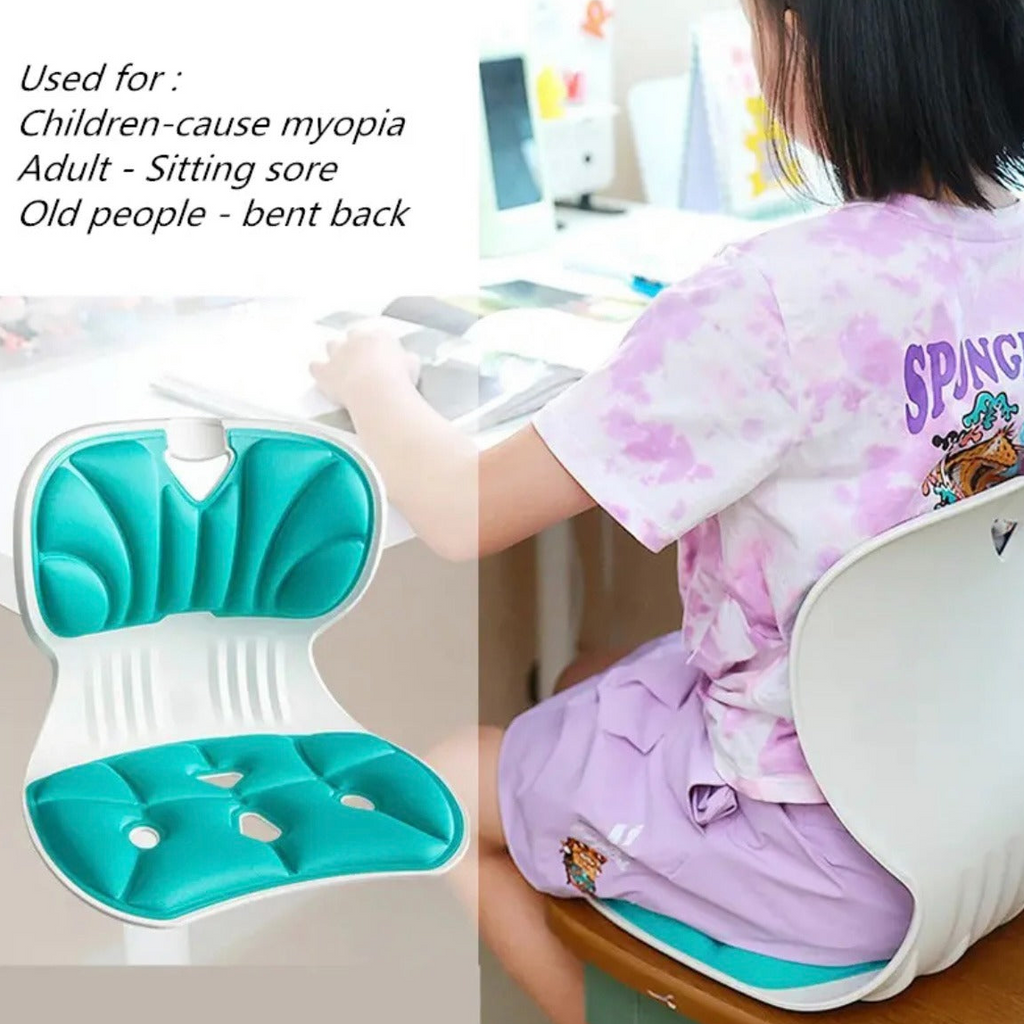 Sitting Support Rol Sitting Posture Correction Chair Seat, Back Waist Support Seat With Cu