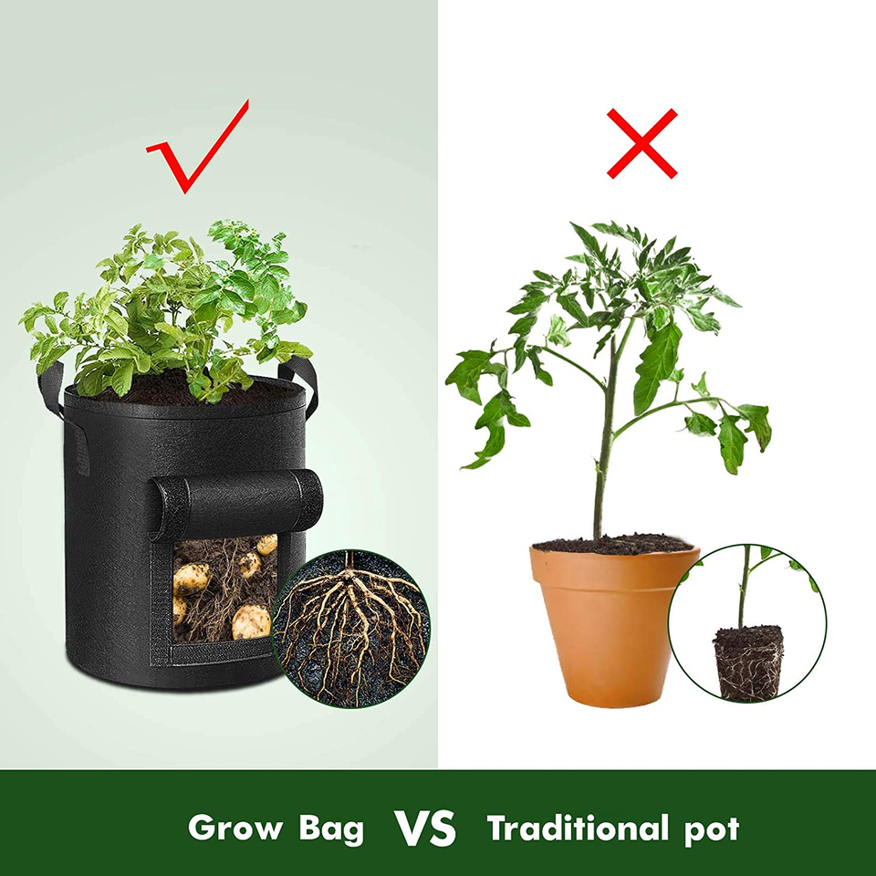 Comparing 10 Gallon Potato Grow Bags and traditional pots