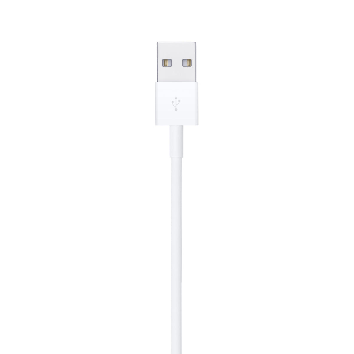 Apple Lightning to USB Cable (1m).