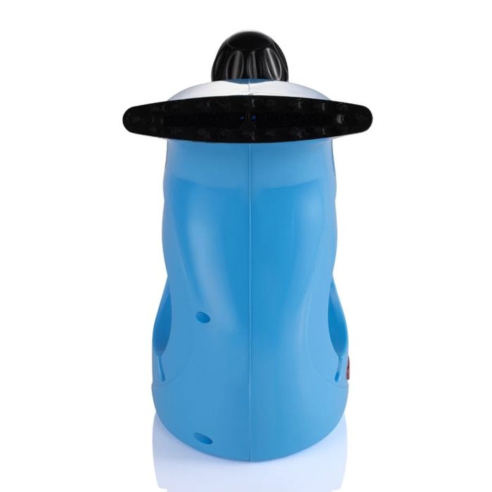 A RAF Mini Steam Iron.