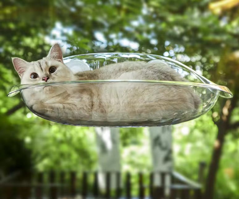 A Cat is Resting on the Cat Window Hammock Bed.