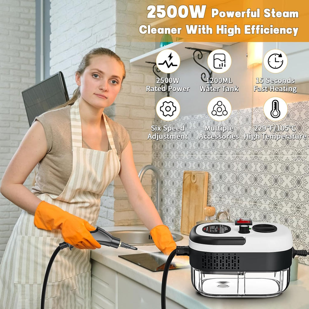 Multi Stream Cleaner Multi-Function Steam Cleaner 2500W High Temperature Portable Steam Cle