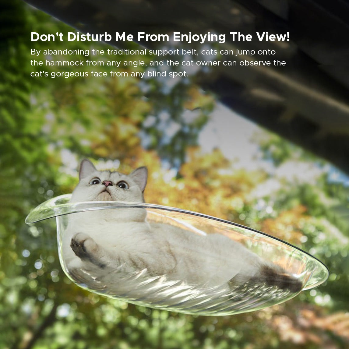 A Cat is Resting on the Cat Window Hammock Bed.