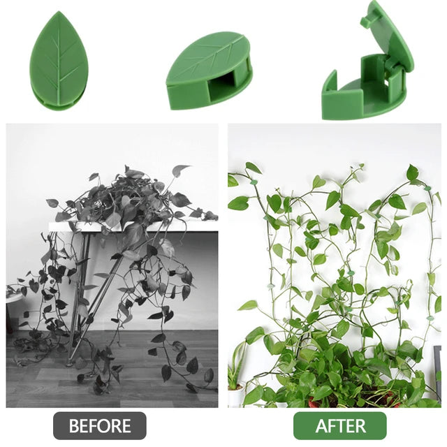 Plant Climbing Wall Fixture Clips, Self-Adhesive Invisible Support Hook for Wiring