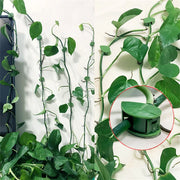 Plant Climbing Wall Fixture Clips, Self-Adhesive Invisible Support Hook for Wiring