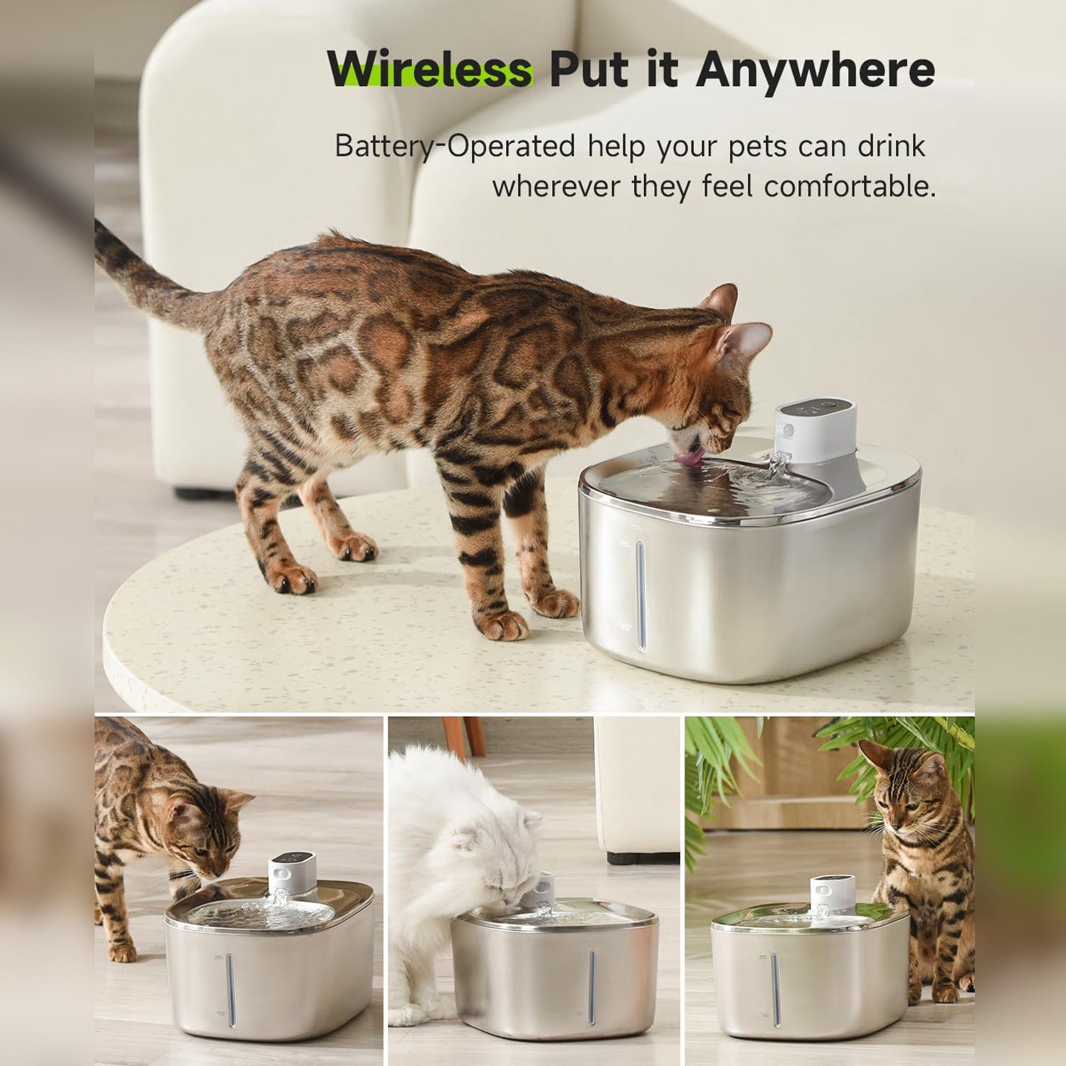 Cat is Drinking Water From Smart Wireless Cat Water Fountain.
