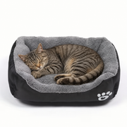 Cat Sleeping on a Soft Plush Pet Bed