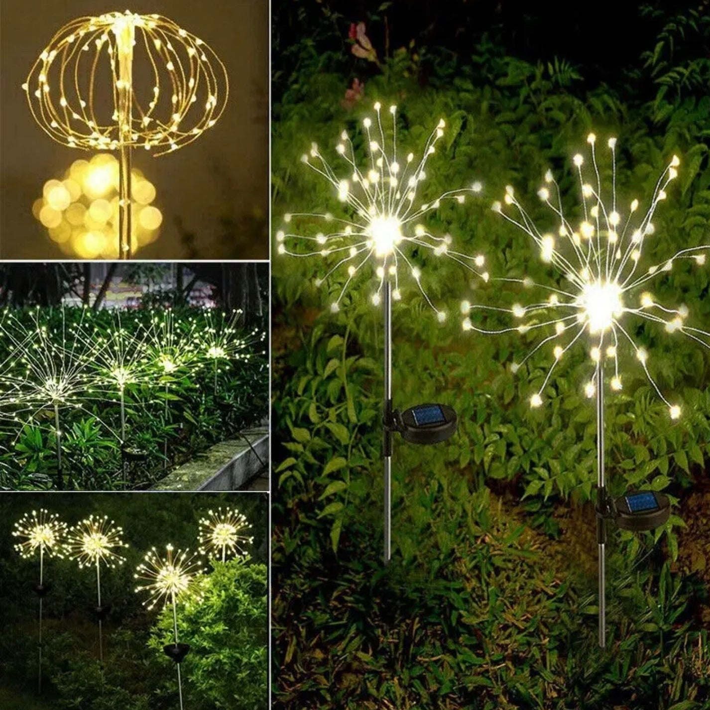 Solar Firework Garden Lights are Placed at Garden Area.