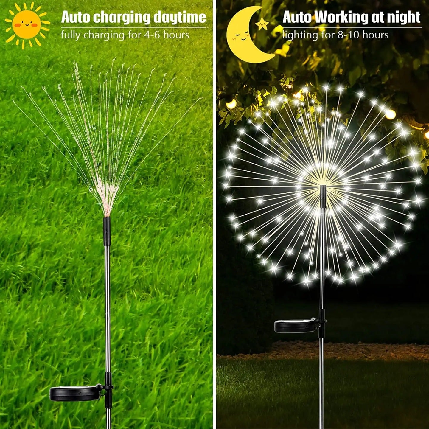 Solar Firework Garden Lights are Installed at Garden Area.