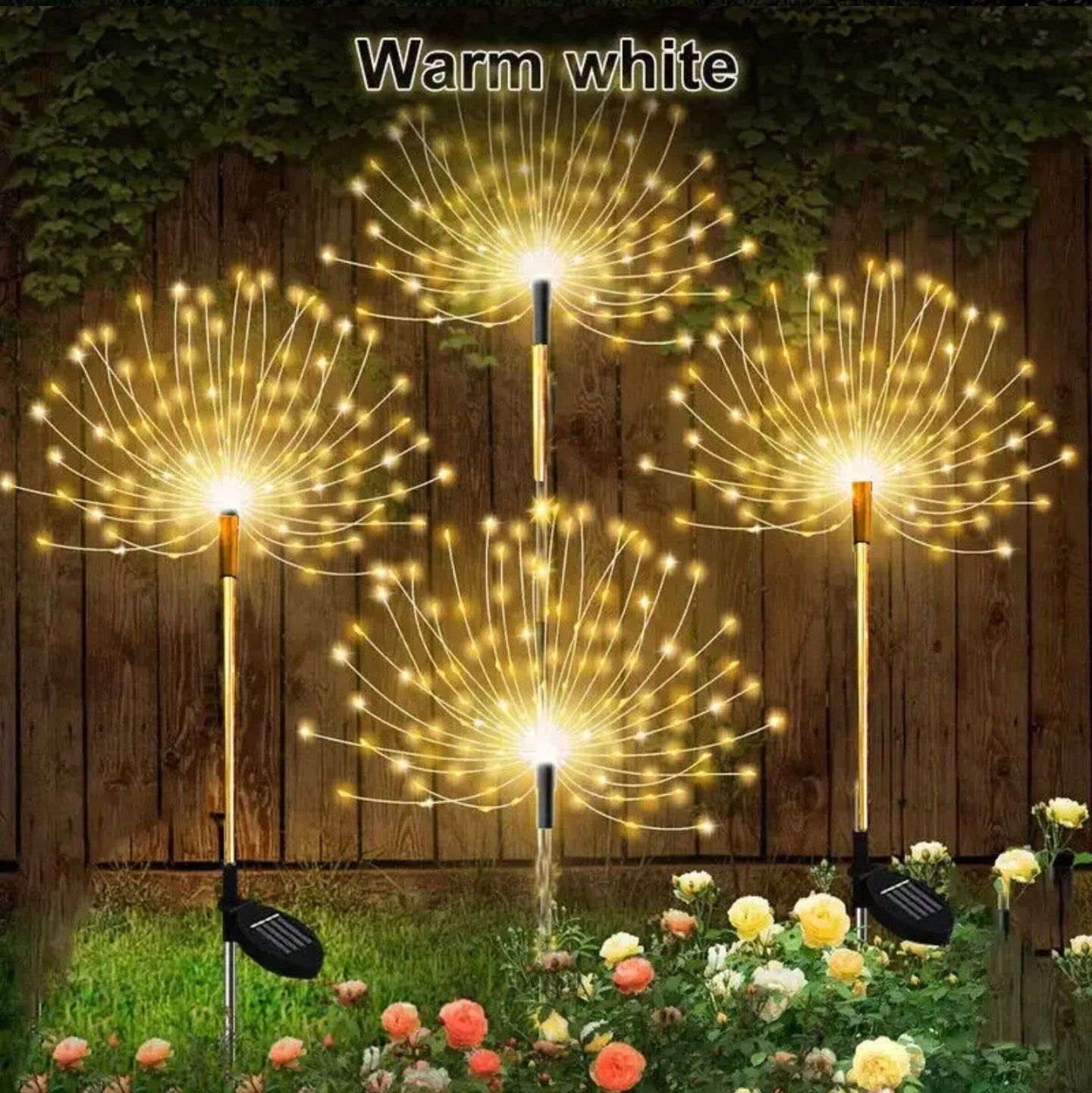 Solar Firework Garden Lights are Placed at Garden Area.