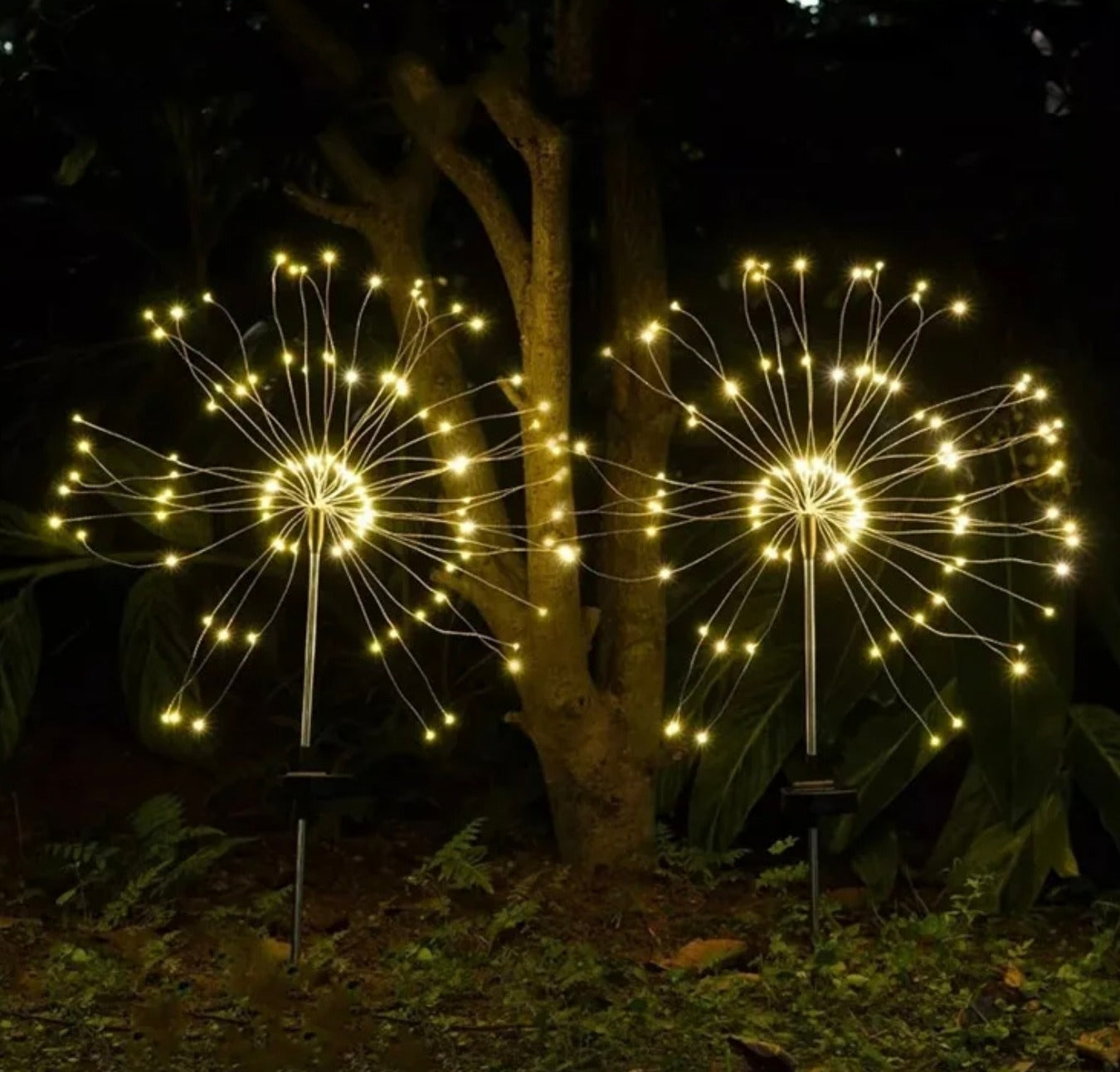 Solar Firework Garden Lights are Installed at Garden Area.