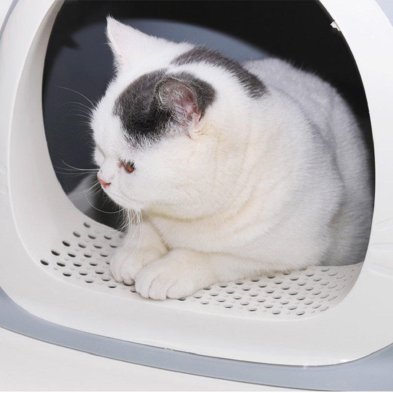 A Cat in a Litter Box.