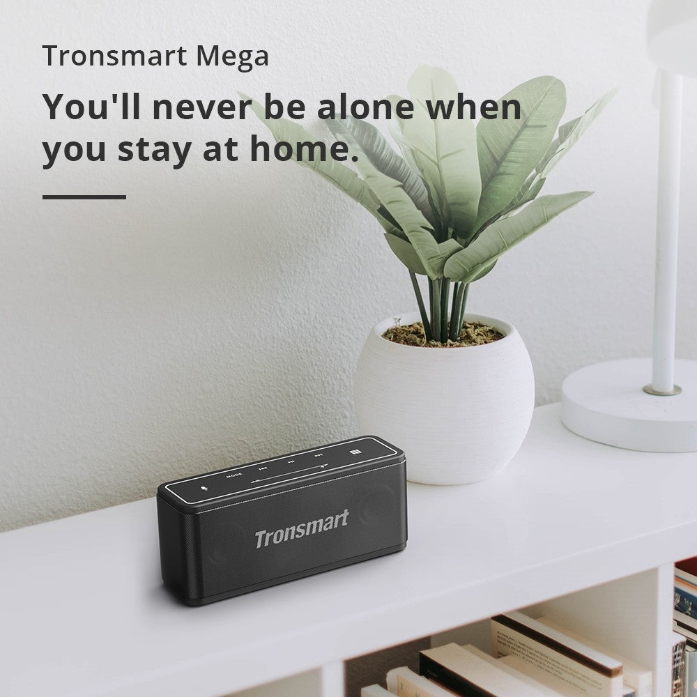 Tronsmart Element Mega SoundPulse® Wireless Speaker is Placed Near Plant Pot.