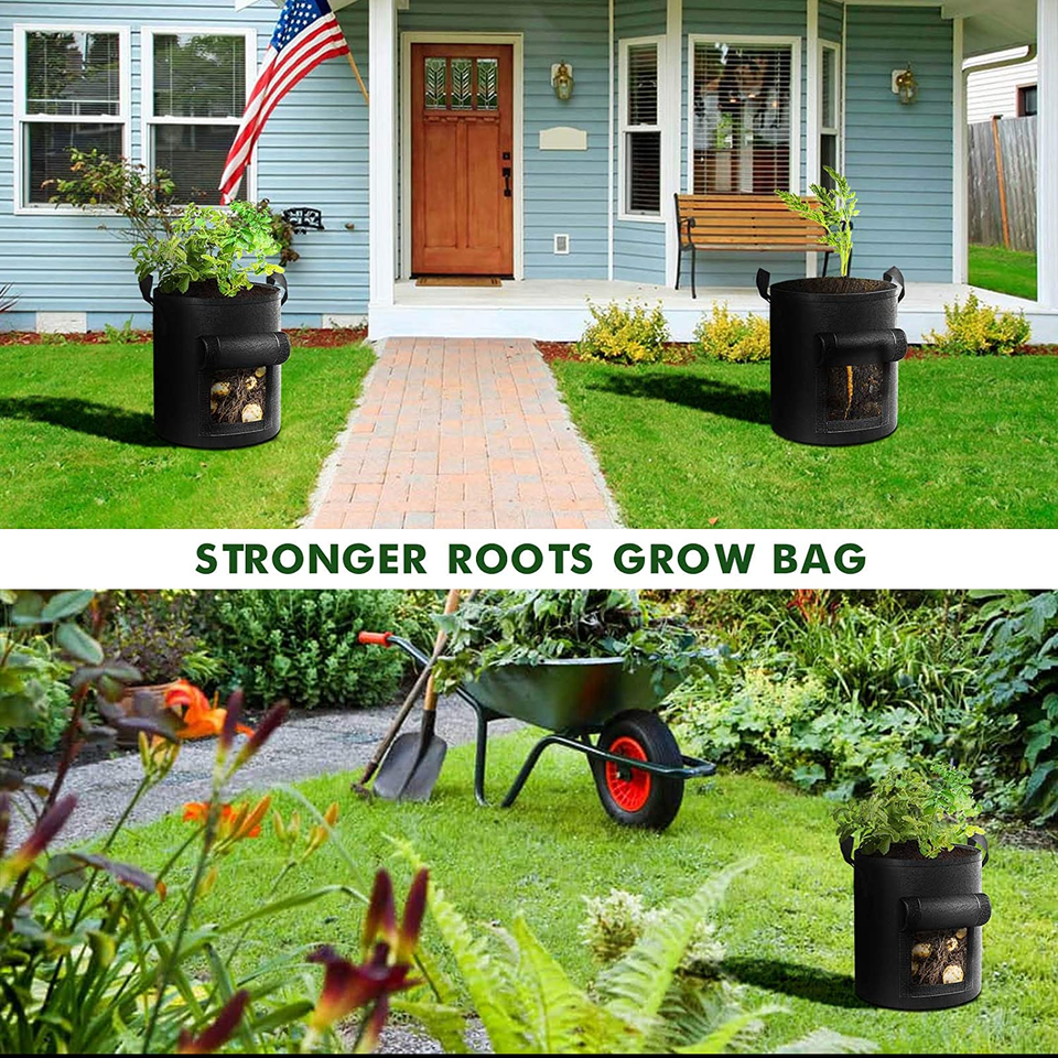 10 Gallon Potato Grow Bags placed outside the house