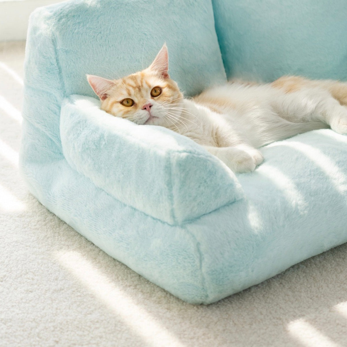 A cat lying on a blue color Cat Sofa Couch Cushion 