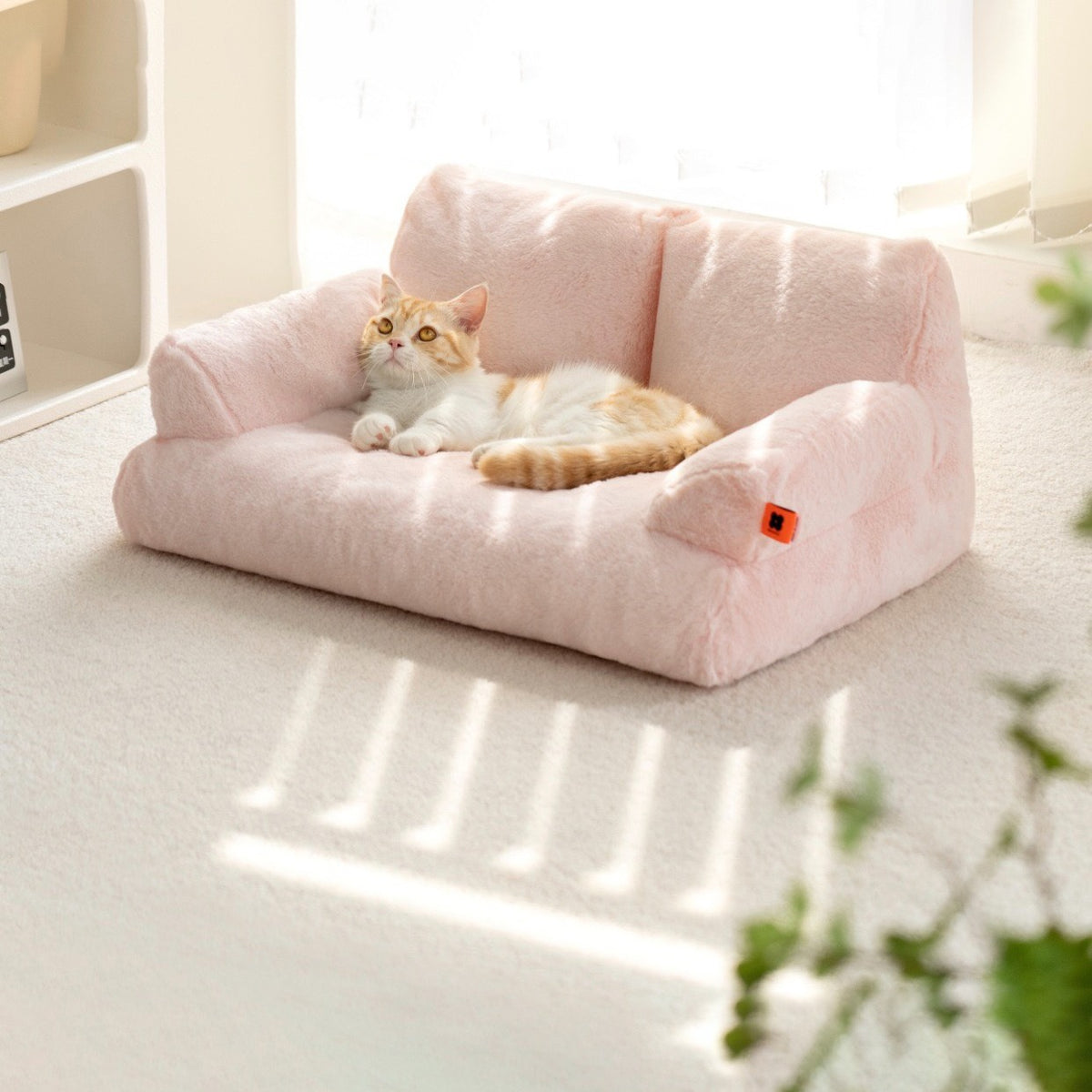 A cat lying on a pink color Cat Sofa Couch Cushion 