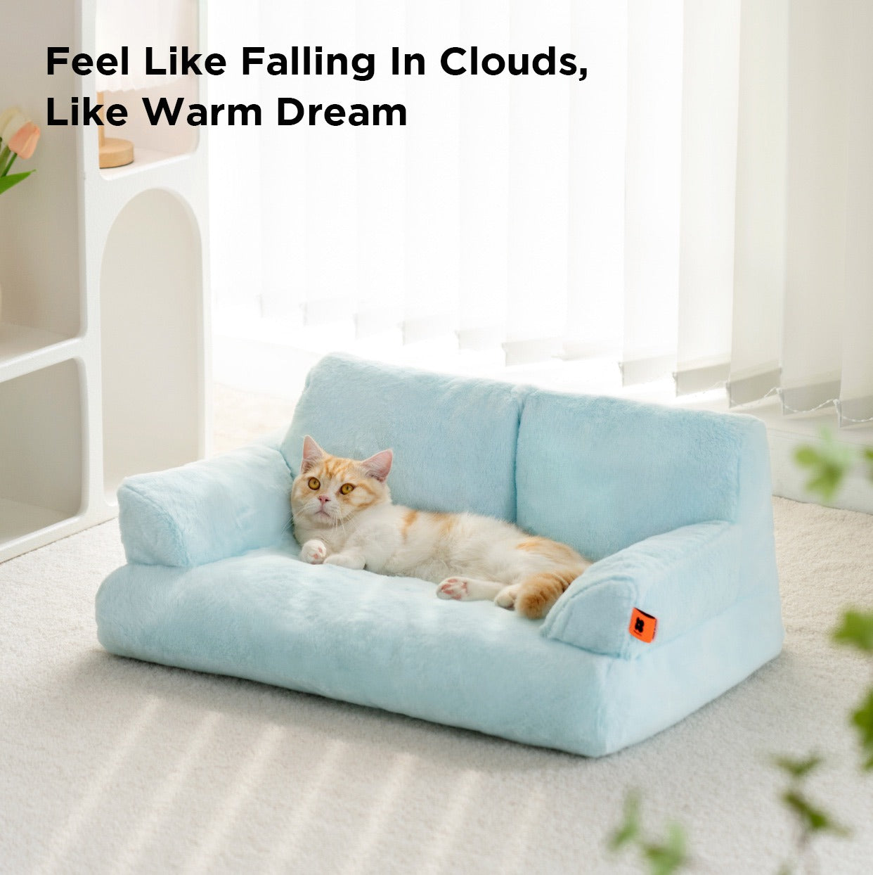 A cat lying on a blue color Cat Sofa Couch Cushion 