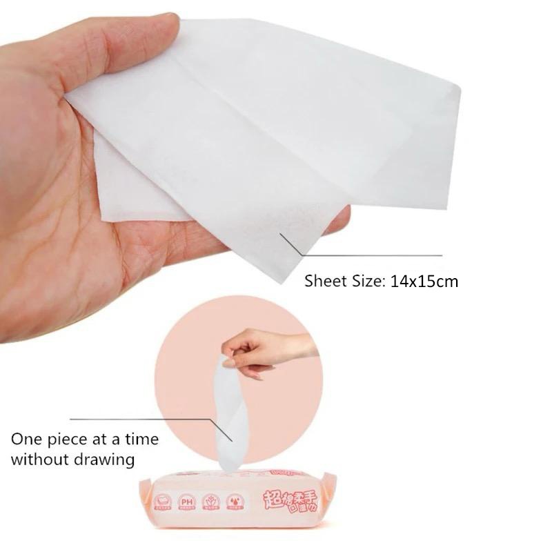 size of Mini Hand and Wet Wipes 