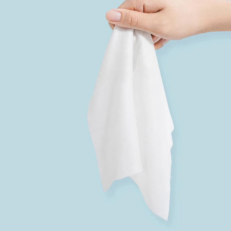 someone holding Mini Hand and Wet Wipes 