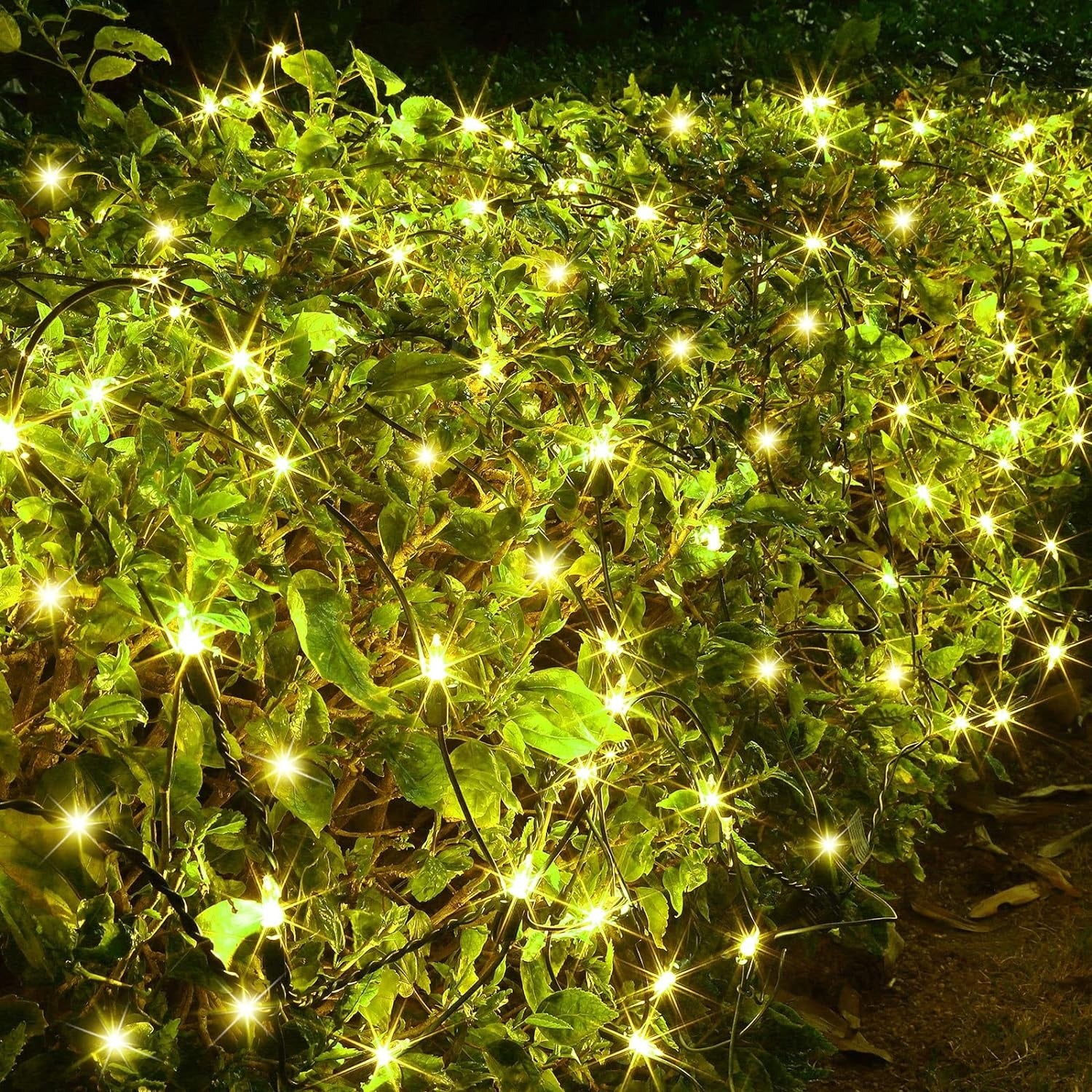 garden area is set with Solar LED Mesh String Lights