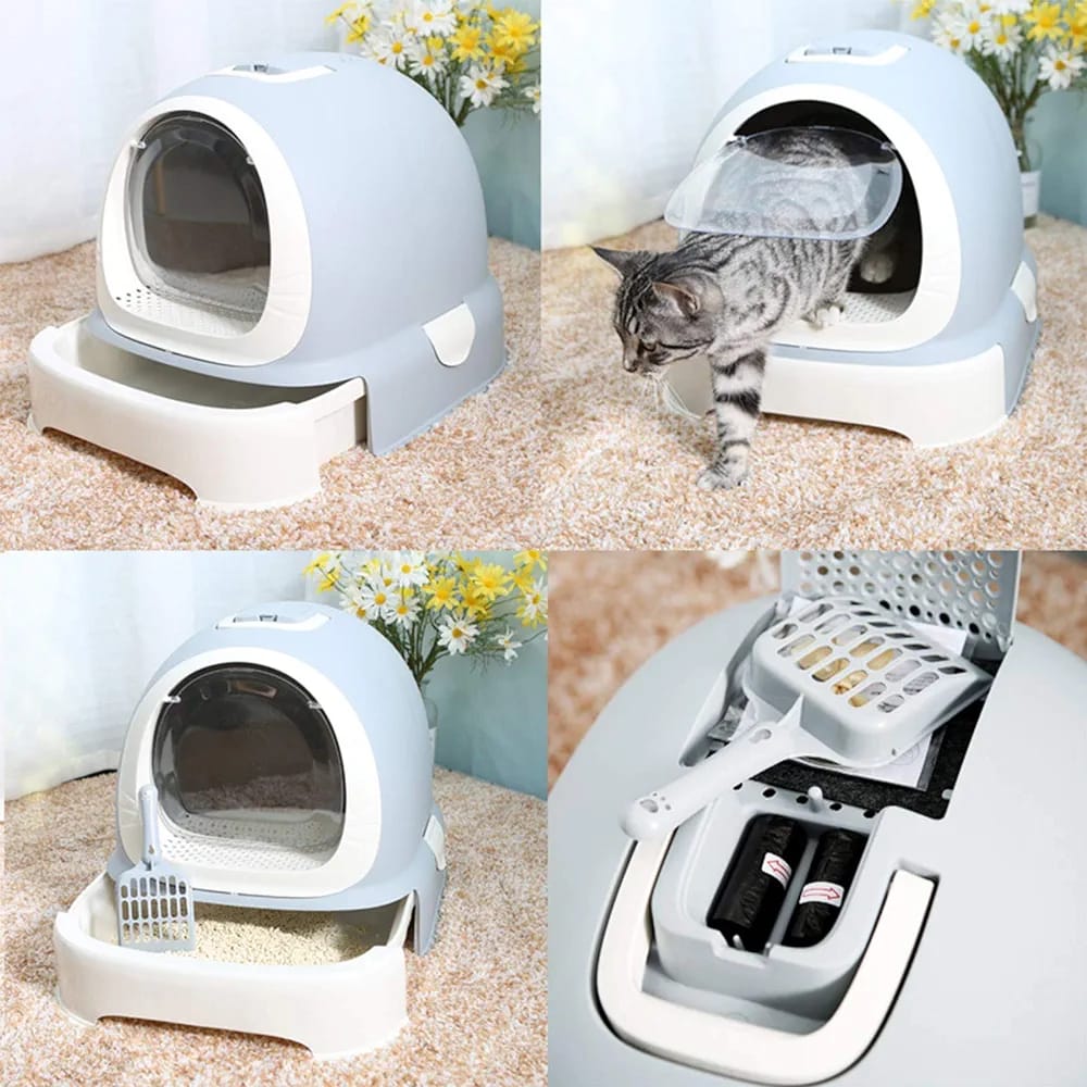 Cat Using Fully Enclosed Cat Toilet with Litter Tray.