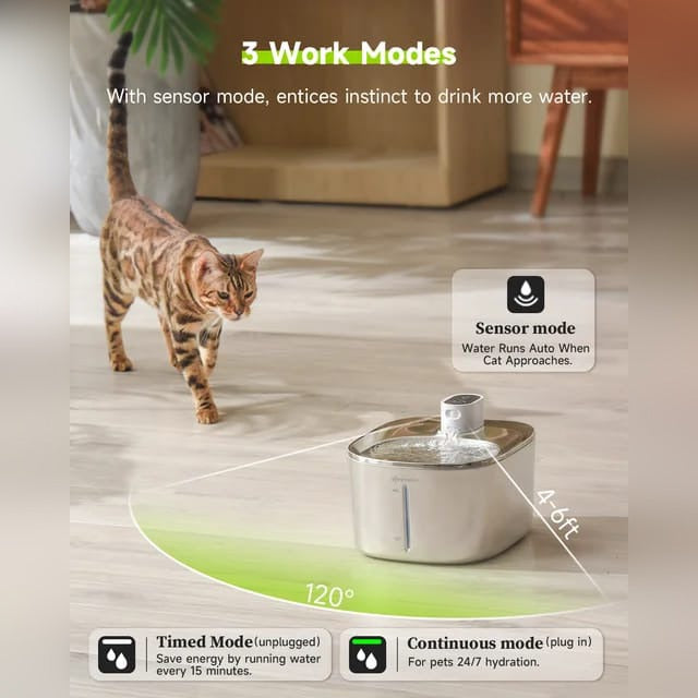 A Cat is Walking towards Smart Wireless Cat Water Fountain.