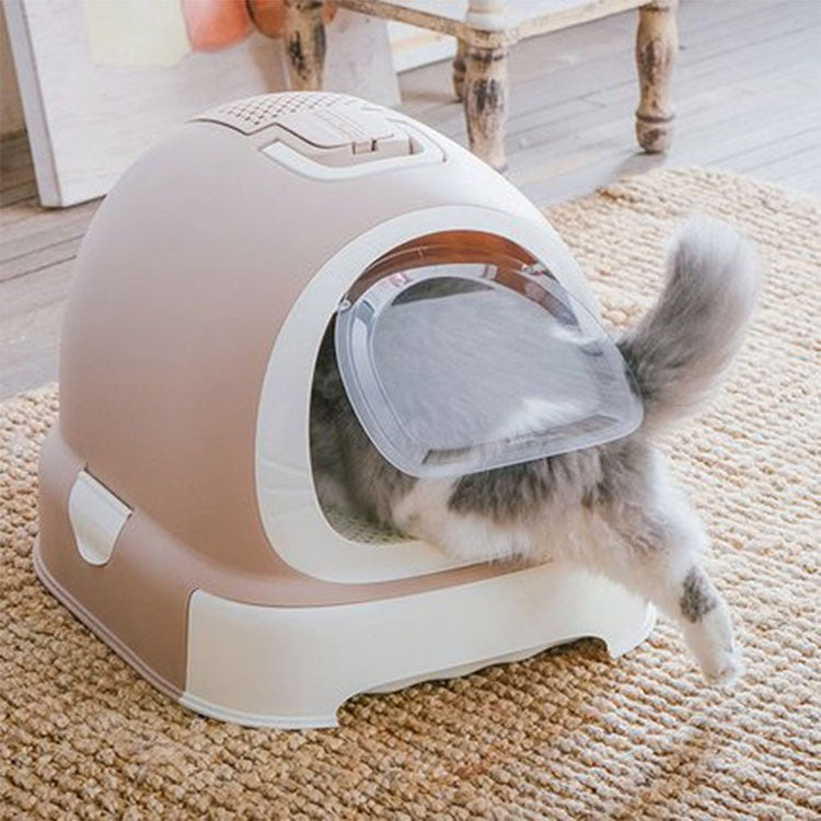 Cat Entering in to Litter Box.
