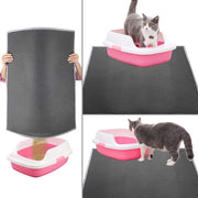 Cat in a Cat Litter Tray Mat.