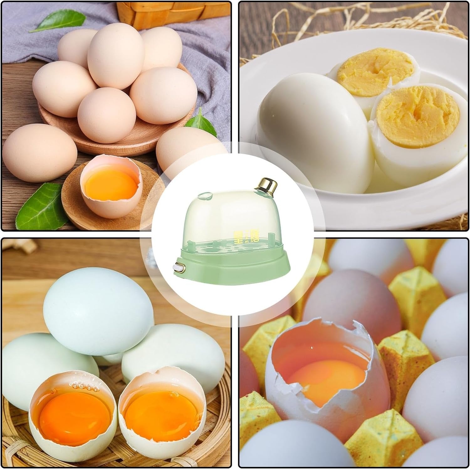 any kind of egg can be made with Electric Egg Boiler and Steamer 