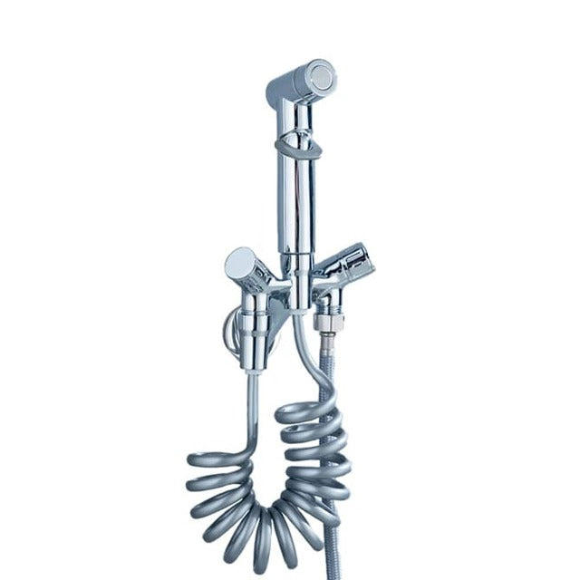 Dual Control Hand Shower in Silver.