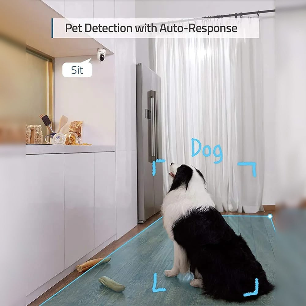 A Dog is Listening to Indoor Security Camera.
