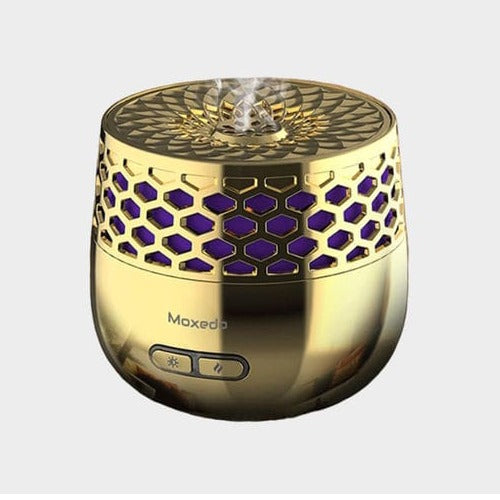 Electric Insecure Burner