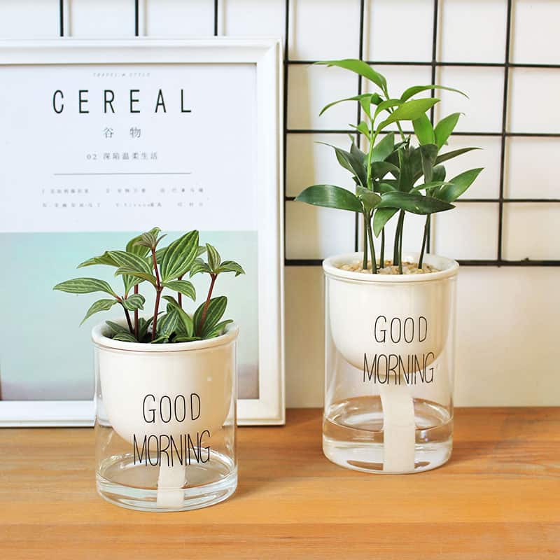 Two Self Watering Indoor Plant Pot with plants in it placed on a wooden surface