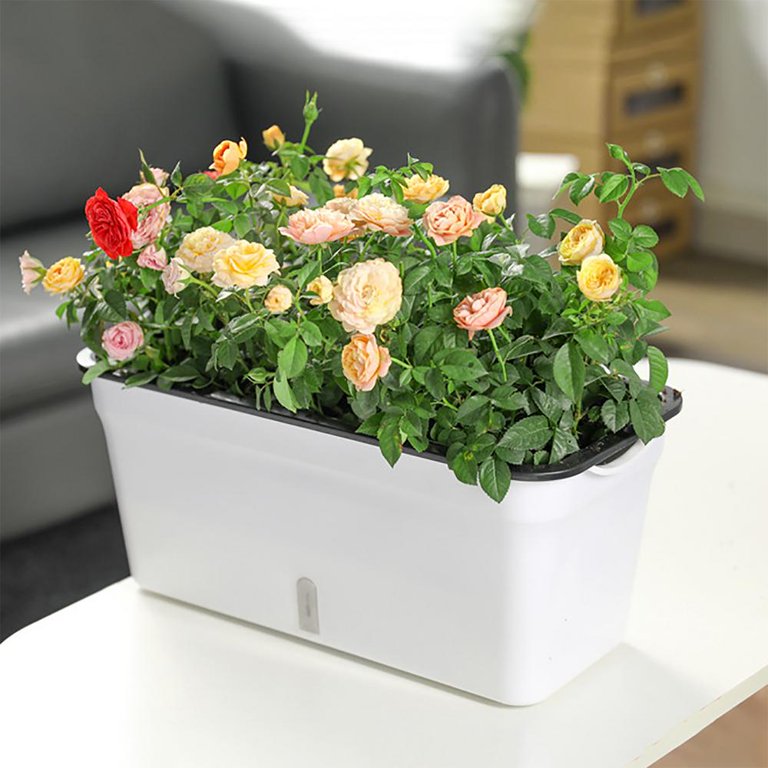 Self Watering Planter Pot, Double Layer Flower Pot with Visible Water Level