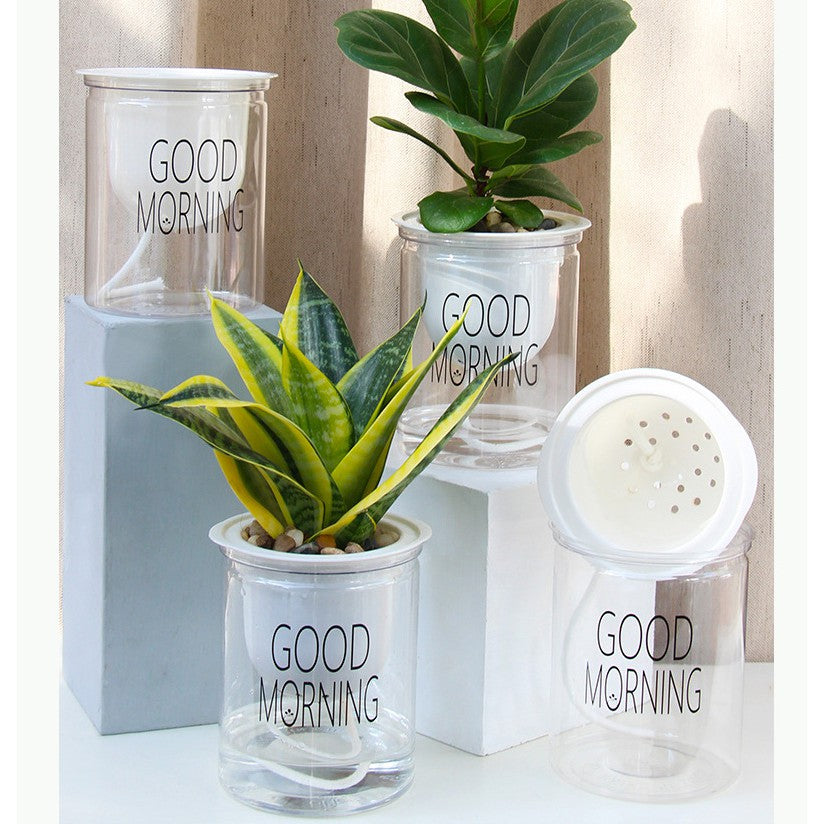Four Self Watering Indoor Plant Pot,two with plants in it and two empty placed close to a wall